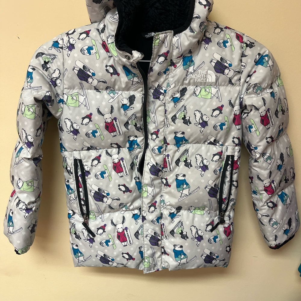 The North Face Kids' Graphic Puffer Jacket - Gray and Multicolor